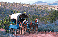WA6 Cowboy Cabin & Horseback or Wagon Ride Package Photo 1