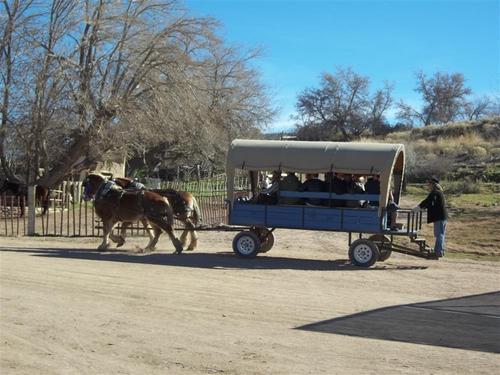 Photo Gallery Combined